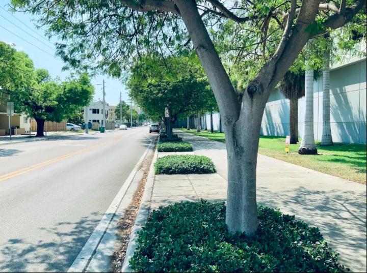 Apartments In The Heart Of Miami - Port Of Miami / Miami Airport Eksteriør bilde